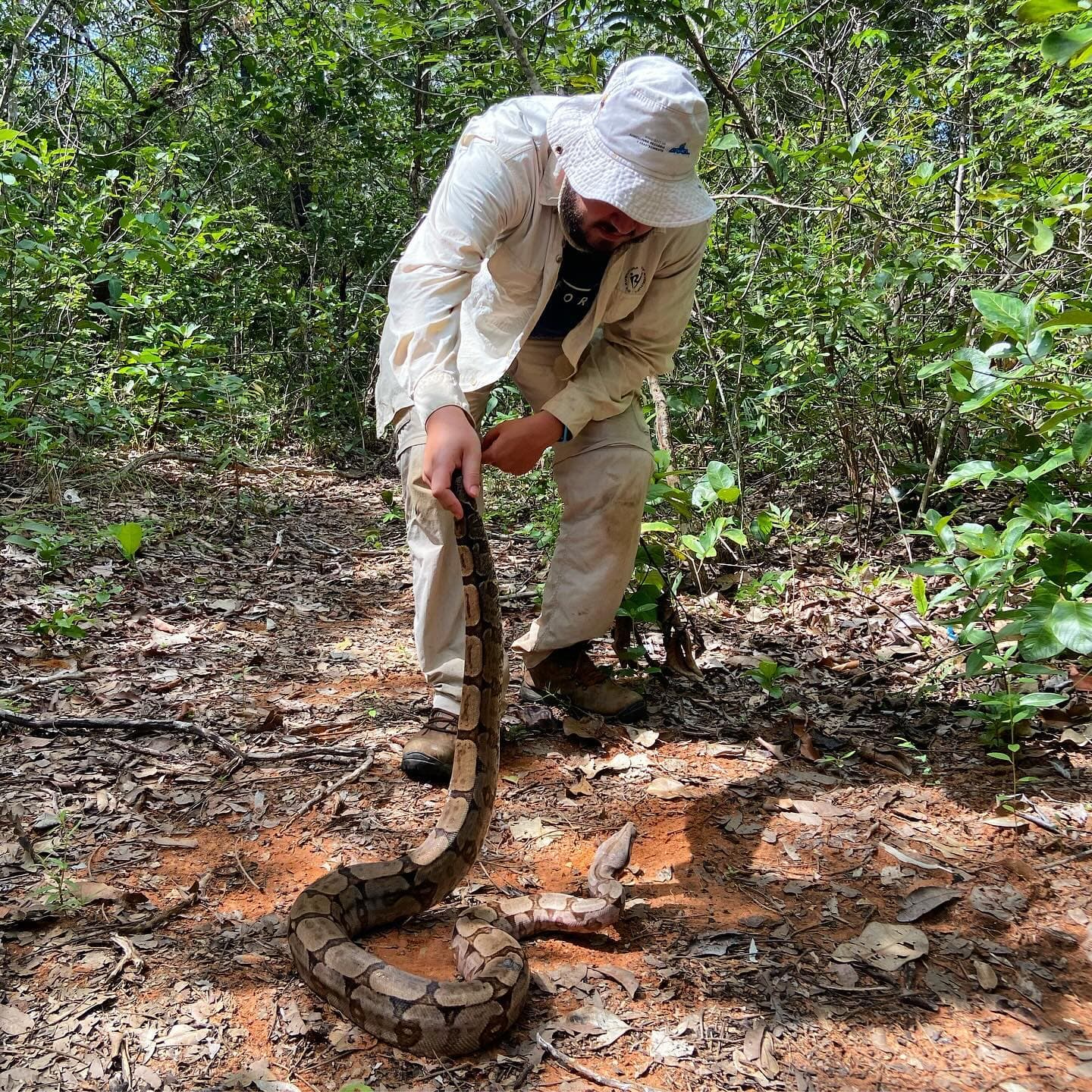 Amazon Canopy & Aquatic Predators